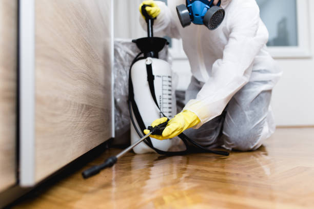 Best Wasp Removal Services  in Newport, SC