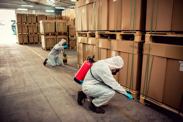 Professional Pest Control in Newport, SC