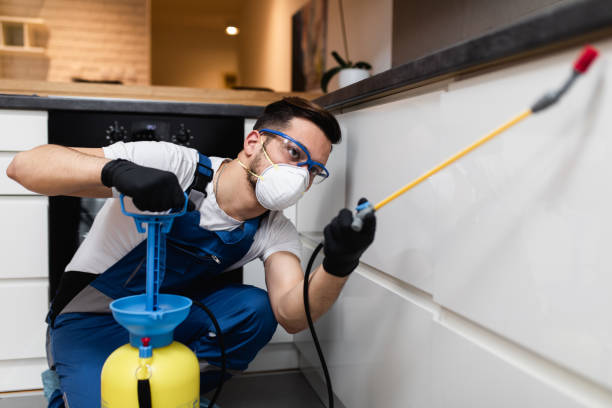 Best Bed Bug Extermination  in Newport, SC