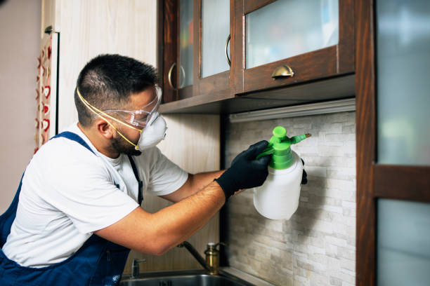 Best Cockroach Control Services  in Newport, SC