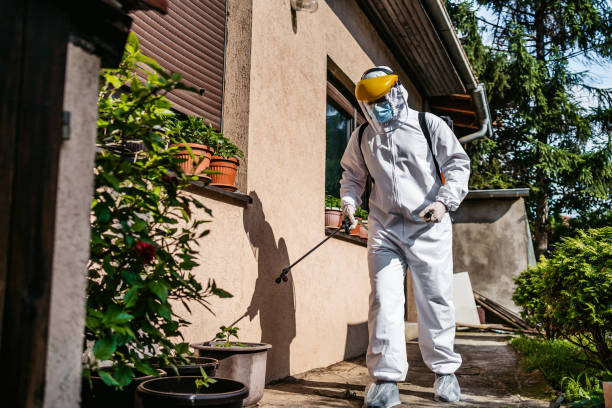 Wasp Removal Services in Newport, SC