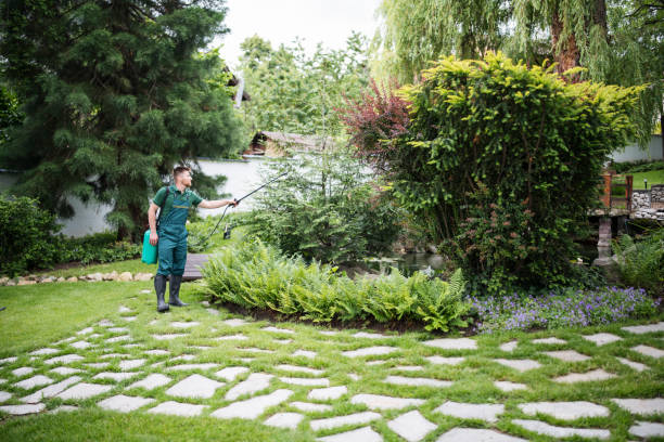 Best Residential Pest Control  in Newport, SC
