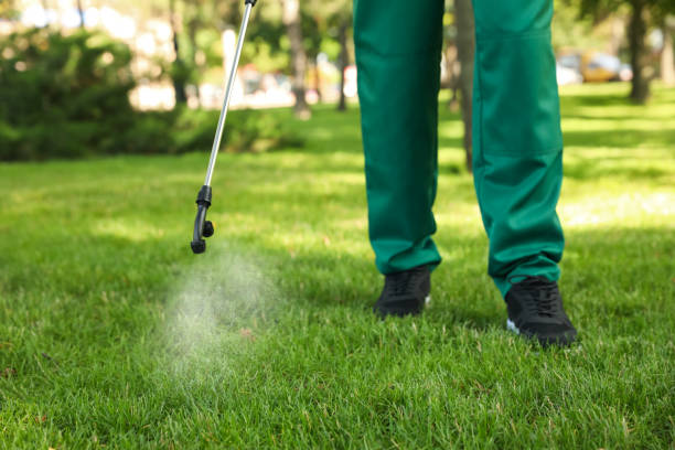 Best Pest Control for Businesses  in Newport, SC