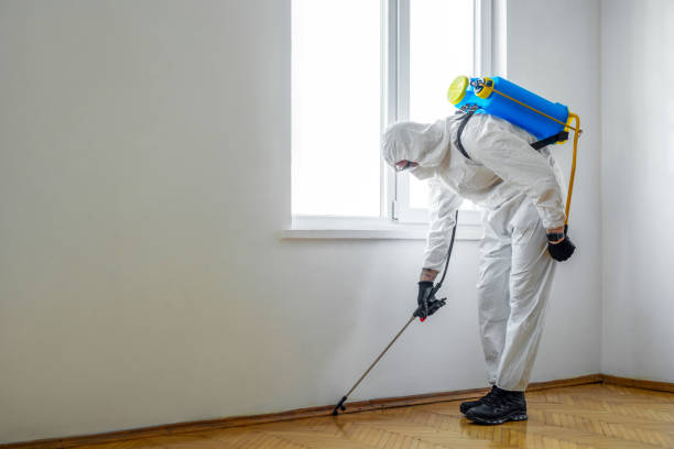 Best Best Pest Control Companies  in Newport, SC