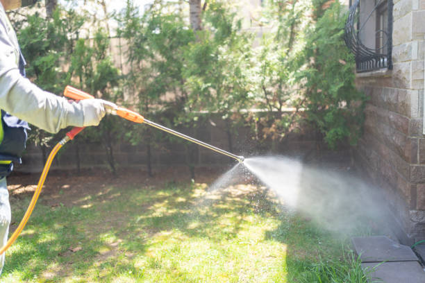 Best Cockroach Control Services  in Newport, SC