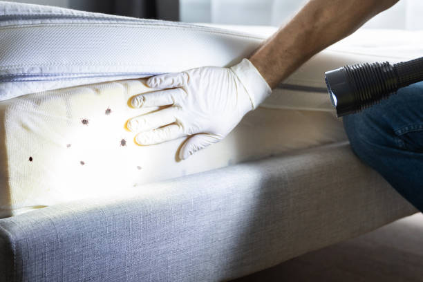 Best Affordable Exterminators  in Newport, SC
