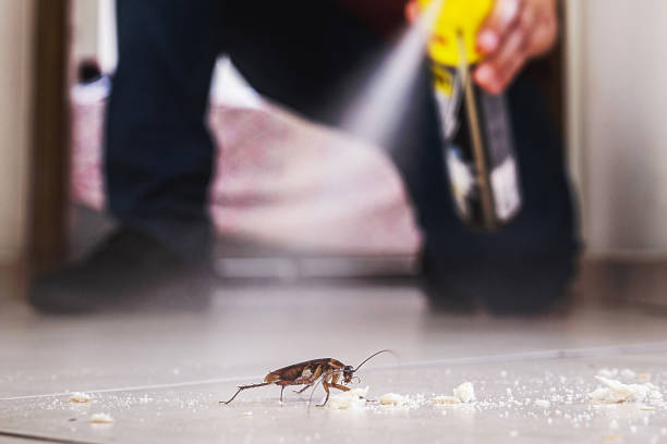 Best Residential Pest Control  in Newport, SC