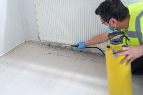 Best Emergency Pest Control  in Newport, SC