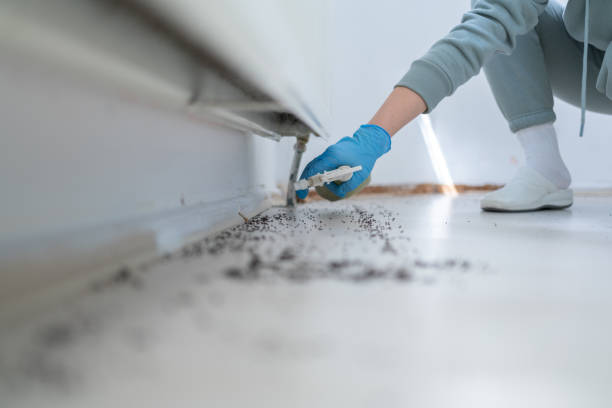 Best Cockroach Control Services  in Newport, SC