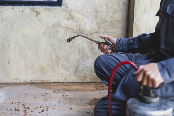 Best Affordable Pest Control Services  in Newport, SC