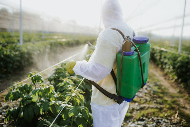 Best Commercial Pest Control Services  in Newport, SC